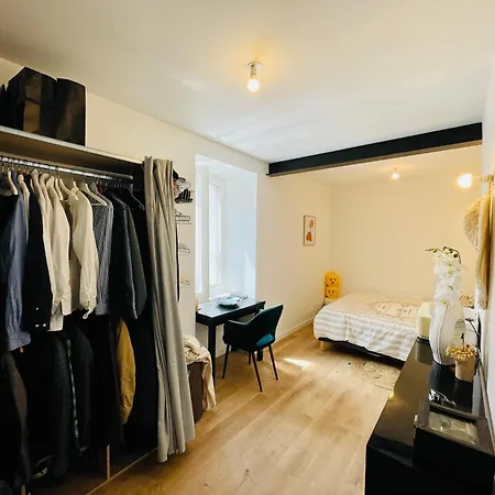 Ici A 7 Min De Graslin En Bus * نانت