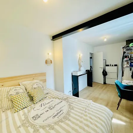 Ici A 7 Min De Graslin En Bus * نانت